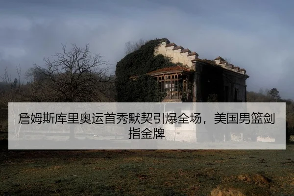 zhan-mu-si-ku-li-ao-yun-shou-xiu-mo-qi-yin-bao-quan-chang-mei-guo-nan-lan-jian-zhi-jin-pai-2-547.jpg